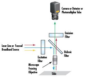 m.secondarrowmama.com